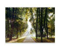 murando Carta da parati 600x280 cm Fotomurali in TNT Murale alla moda Decorazione da Muro XXL Poster Gigante Design Carta per pareti Parco Natura Paesaggio Albero c-A-0102-x-f