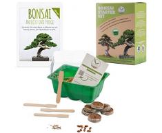 Bonsai Kit incl. eBook GRATUITO - Starter Set con mini serra, semi e suolo - idea regalo sostenibile per gli amanti delle piante (Semi: Olivo + Pino Australiano)