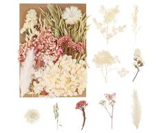 Bohoman Fiori Secchi Naturali, Veri Fiori Secchi per Resina Misti Petali e Foglie di Fiori Pressati Fiori Secchi Eterna Fiore per Fai da Te Scrapbooking Candele Decorazione(rosa)