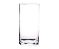 Vaso in vetro trasparente per fiori e piante, centrotavola decorativo per casa o matrimonio (11,9 x 25,4 cm)