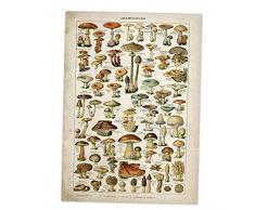Ruluti Vintage Poster Antico Tela Floreale Stampa Art Botanico Poster Educativo Poster Mushroom Wall Art Home Decor Canvas Pittura