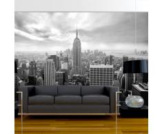 murando Carta da parati 300x210 cm Fotomurali in TNT Murale alla moda Decorazione da Muro XXL Poster Gigante Design Carta per pareti New York 101104-1