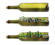 BELLE VOUS Confezione da 3 Bottiglia Vino Vetro Vasi Design per Interni Fioriera - L32 x L7,1 cm - Sezione Ovale Ritagliata - Per Piante, Fiori, Cactus, Bambù, Giardino e Decorazioni Fai Da Te