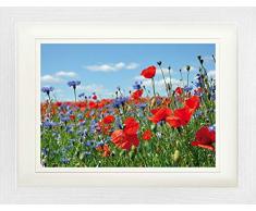 1art1 Fiori Poster Campo di Fiori con Papaveri E Fiordalisi Quadro in Cornice con Pregiato Passepartout | Immagini A Parete | in Una Cornice 40x30 cm