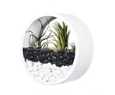 Ecosides Fioriera rotonda da appendere alla parete, moderna fioriera in metallo, vaso per piante grasse artificiali,contenitore in vetro, supporto autoportante,decorazione per casa,bianco(Medium(8)