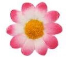 Bornfeel Fiori Margherite 100 Pezzi Fiori Finti Bomboniere Fiore Artificiale Corolla in Seta per Pasqua Tavola Cofano Matrimonio Festa Cerimonia Decorazione 38 x 38 x 20 mm Bianco & Rosa Scuro