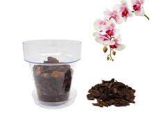 Kalapanta Kit per Rinvasare Le Orchidee: 1 Vaso Trasparente Ø 14cm con Fori drenaggio, 1 Sottovaso Ø 12cm e Terriccio specifico per Orchidee