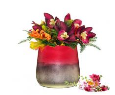 Sendez Vaso portafiori Barbara tavolo – Vaso Decorativo in Vetro Vaso Vaso Vaso Vaso per piante, Vetro, Rot, 14x13,5 cm