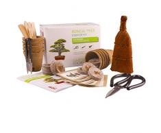 KIT ALBERO BONSAI. COMPLETO per coltivare 6 splendidi alberi a casa Kit di giardinaggio per bonsai che include 3 strumenti bonsai superiori, qualità premium, set regalo per giardinaggio