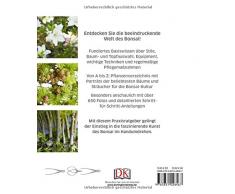 Bonsai: Schneiden, gestalten, pflegen