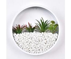Ecosides Fioriere da Parete Metal Art Hanging Vaso di Fiori Rotondo Ferro Appeso Cesto Fioriera da Parete in Tinta Unita Decor Ornamento Bonsai Vasi da Interno creativi Terrario Fioriera Fioriere