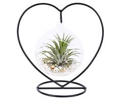 Sotoboo - Fioriera da appendere in vetro trasparente per piante grasse e piante grasse con supporto in metallo nero, decorazione da tavolo per la casa (mensola a cuore+palla)