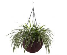 ComSaf Auto Irrigazione Vaso per Piante Sospese Marrone 25.5CM Plastica Set di 2, Fioriere con Drenaggio Cestini per Fioriere Sospese Vasi Sospesi per Piante Casa e Giardino Balcone Decorazione