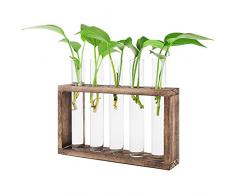 Supporto per piante idroponiche Vetro provetta piante idroponiche parete supporto da tavolo fioriera in vetro stazione propagazione Supporto piante parete con 5 provette provette Supporto (Marrone)