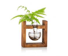 Stazione Di Propagazione 1 Pz Lampadina Vaso Di Avocado Vaso Di Ghianda Di Vetro Per Fiori Terrario Vaso Di Fioriera Con Portapacchi In Legno Supporto Per Piante Da Acqua Verde Adatto Per La Casa Cuci