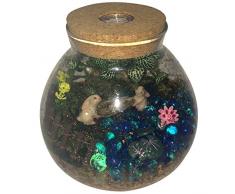 Musykrafties 15 cm rotondo vetro terrario contenitore ciotola pentola con coperchio in legno di luce LED da tavolo succulente vaso