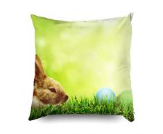 Federe con Cerniera Federe 45x45 cm Divertente Buona Pasqua Concetto Pulcino Uova Colorate di Pasqua Tiro Decorativo, Fodera per Cuscino per Divano Letto casa