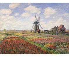 STAMPA-SU-TELA-INCORNICIATA-Monet-Claude-Cm_56_X_75-Campi-di-tulipani-con-mulino-a-vento-Campi-di-tulipani-con-mulino-a-vento-Quadro-su-tela-con-cornice-a-cassetta-americana-Canvas-incornici