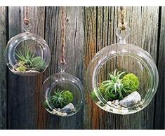 Weanty, vaso di vetro da appendere per piante, fiori, palline, portacandele, trasparente, riempibile per albero di Natale (3 pezzi)