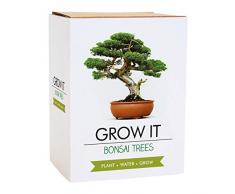 Gift Republic Grow It - Set per la coltivazione di un albero bonsai