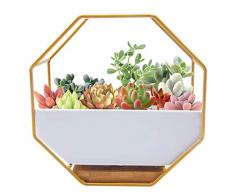 Vaso per Pianta a Muro,Moderne Fioriere da Parete, vasi da Parete in Resina Geometrica per Vaso da Parete o Decorazione Casa e Ufficio per Piante Grasse,Cactus,Fiori Artificiali,Piante ad Aria