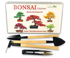 Kit per la Coltivazione di Un Albero Bonsai, mini kit di attrezzi per bonsai $ 7,99 incluso., con 5 Specie di Semi da Coltivare, Idea Regalo per Principianti