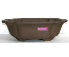 CERTRE Vaso Bonsai Ovale 6201 cm.27x20 h.9 Gres Marrone