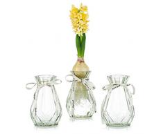 Vasi in Vetro Trasparente per Fiori con Corda di Seta, 3 Pezzi Moderni Vasi di Giacinto Vaso Bocciolo di Avocado per Pianta Idroponica Narciso per La Decorazione del Davanzale Interno