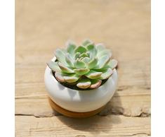 All' ingrosso Vasi per Fiori, Y & M (TM) Eleganza interna per casa e vasi da fiori in ceramica Piante Vaso per piante grasse e cactus con vassoio in bambù