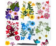 EMITUOFO Fiori Secchi Foglia di Fiore Pressata Floreale Naturale per Resina Candela Fai-da-Te Che Fanno Adesivi Floreali per Unghie Artistiche Decorazioni