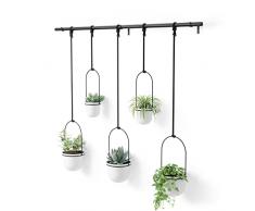 Umbra Fioriera sospesa per piante grasse, erbe aromatiche e altre piccole piante, bianco, set da 5