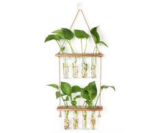 Hyindoor Vaso in Vetro per Propagazione di Piante a Doppio Strato, Fioriera Sospesa Piante Idroponiche Decorative Moderne Home Office