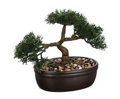 Bonsai-Vaso in ceramica, H .23 cm