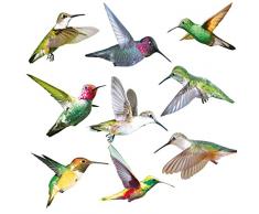 9 Pezzi Adesivi per Finestre Uccelli, Adesivi Anticollisione, Prevenire lUccello Scioperi Sul Vetro Della Finestra Adesivi, per La Decorazione del Vetro di Soggiorno, Finestra, Camera da Letto