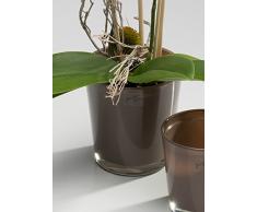 Vaso per orchidee Orchid tortora conico di Sandra Rich, Vetro, talpa, Höhe: 13,5 cm Durchmesser: 12,5 cm
