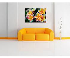 Monoï rari fiori Formato: 120x80 su tela, enorme XXL Immagini completamente Pagina con la barella, stampa d'arte su murale con la struttura, più economico di pittura o pittura ad olio, nessun manifesto o poster