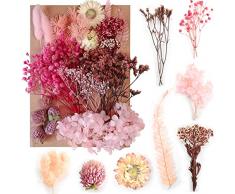 Colexy Fiori Secchi Naturali, Fiori Secchi Decorativi Foglia di Fiore Pressata Fai Da Te Floreale Naturale per Gioielli Resina Epossidica Scrapbooking Decorazione Candela Nail Art Crafts (Rosa)