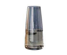 Vaso Moderno a Forma di Bottiglia Vaso in Vetro Art Nouveau Vaso Bouquet Gemma o Vaso di Fiori secchi Office Home Table Decor (Color : Gray, Size : 10×6.5×22cm)