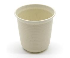T4U 6.5 CM Set of 10 Rotondo di plastica Plastica Vaso di Fiori Pianta Succulente Cactus Vaso di Fiori Giardino i vasi di Fiori vasi di Piante.