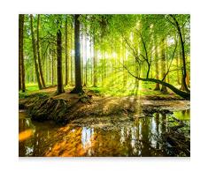 murando Carta da parati 300x210 cm Fotomurali in TNT Murale alla moda Decorazione da Muro XXL Poster Gigante Design Carta per pareti Bosco Foresta Natura Albero Verde c-B-0241-a-a