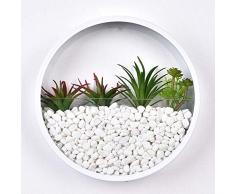 Parete Vaso for Fioriera Succulent- Vaso di Fiori in Metallo Round Vasi Pensili in Ferro Pianta Portavasi Vetro Vases Indoor Parete Decor per Balcone Salotto
