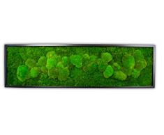 quadri di muschio, quadro di piante, quadro murale, quadri, poster, immagine, decorazione murale, immagini murali, decorazione di muri, 50% palle di muschio e 50% pannelli di muschio (nero, 140x40)