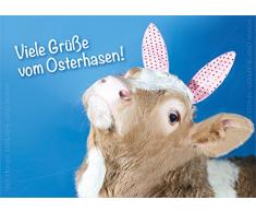 '3 pezzi Schöne A6 cartoline animali cartoline scheda Pasqua Oster scheda di vitello mucca OSTERHASE molti grüße vom coniglietti. "