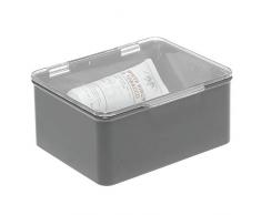 mDesign Scatola plastica per cucina, la dispensa o l'ufficio - Scatola con coperchio in plastica priva di BPA - Organizer portaoggetti per articoli casalinghi - grigio scuro e trasparente