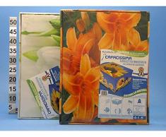 Scatola contenitore baule Portabiancheria per indumenti 40X50X25 cm floreale