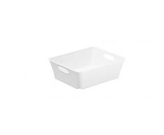 Rotho Contenitore Living in materiale plastico, vassoio portaoggetti uso universale: come vassoio portadocumenti, portacorrispondenza, cestino per le lettere o contenitore, C6, 1 l, ca. 18.6x15x6 cm, bianco, disponibile anche in altri colori