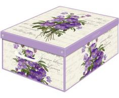 Kanguru Scatola Collection Profumata Violetta, Cartone, Multicolore, 39 x 50 x 24 cm