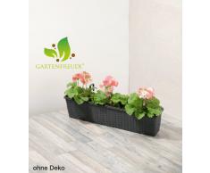 Cassetta da giardino in polyrattan, incl. agganci e sistema per innaffio,antracite, 80 x 19 x 18 cm
