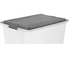 Rotho F717677 Contenitore Multiuso