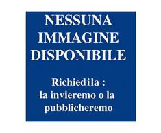 Decimoputzu. Ricerche intorno al ripostiglio di bronzi nuragici di Monte Idda.